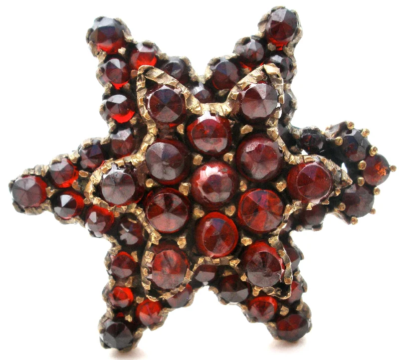 Ladies snowy white brooches -Victorian Garnet Star Gilt Brooch Pin