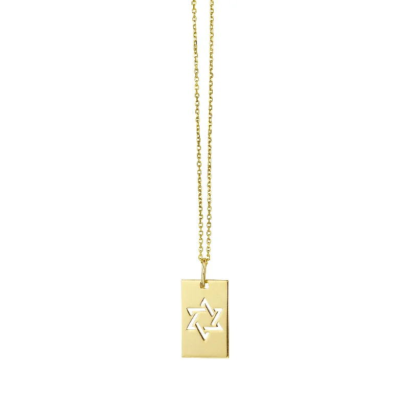 Ladies fanciful gleam necklaces -14K Gold Star of David Tag Necklace